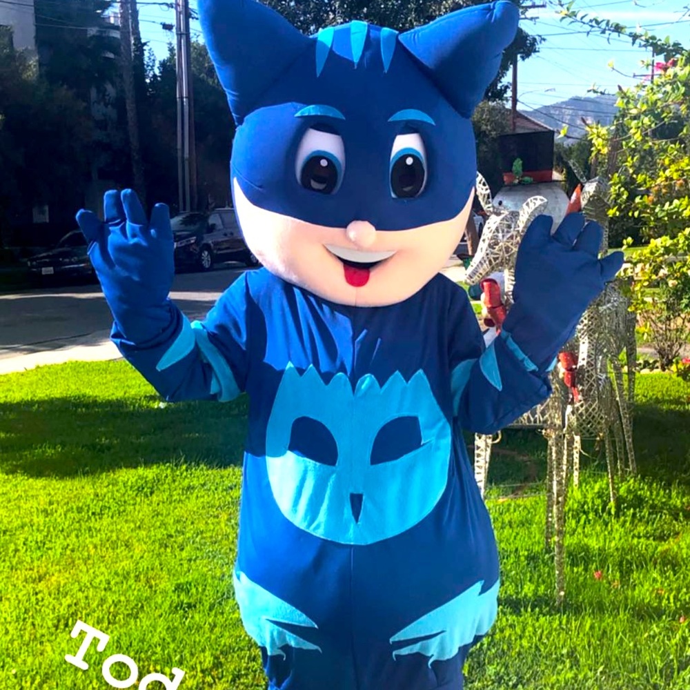 Pj mask mascot costume